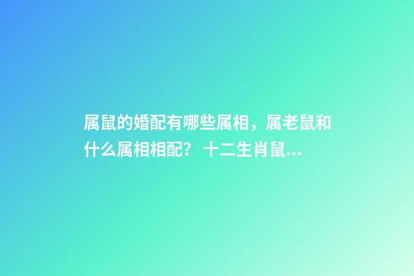 属鼠的婚配有哪些属相，属老鼠和什么属相相配？ 十二生肖鼠的婚配表-第1张-观点-玄机派